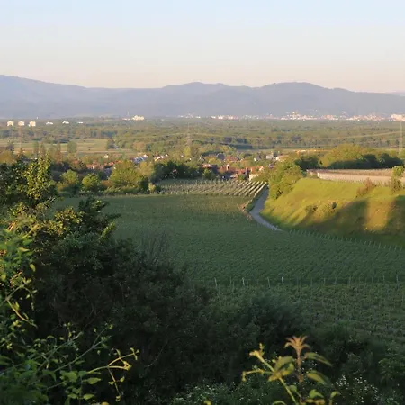 Apartment Tuniberglounge - Moderne, Helle Und Grosszugige Freiburg im Breisgau